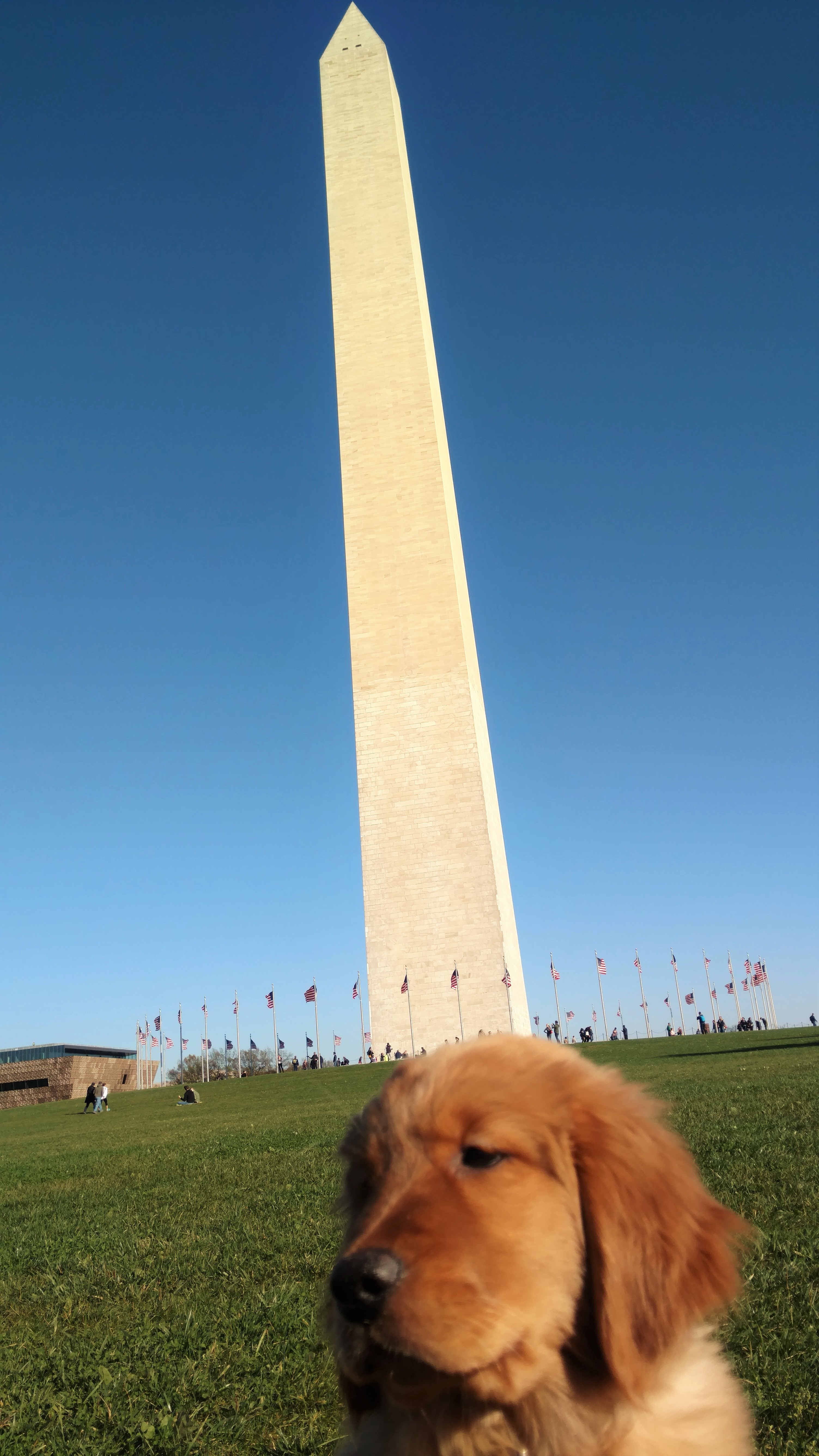 Meli Goes to DC